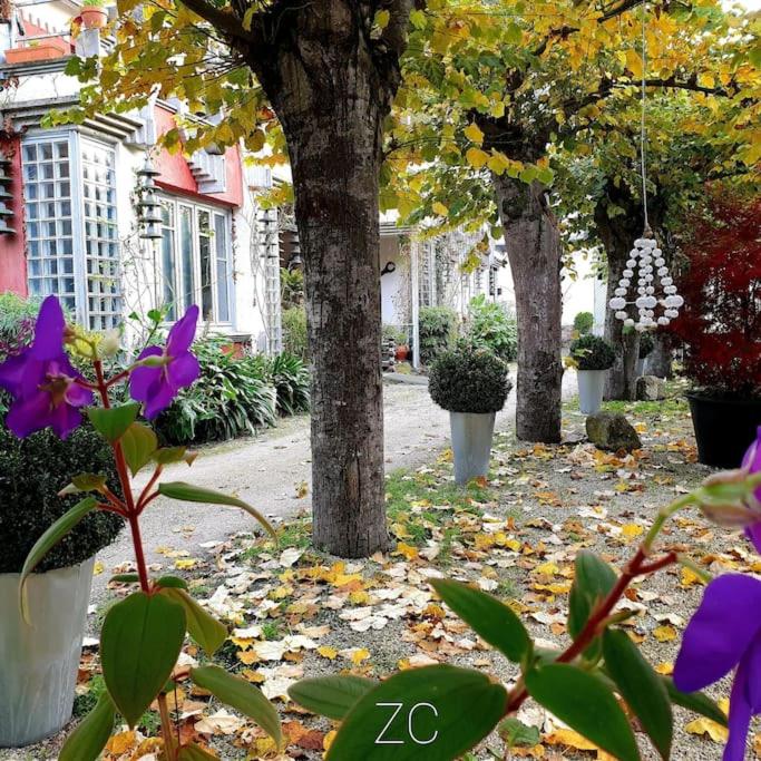 zentralclub apartamento vatio- jacuzzi