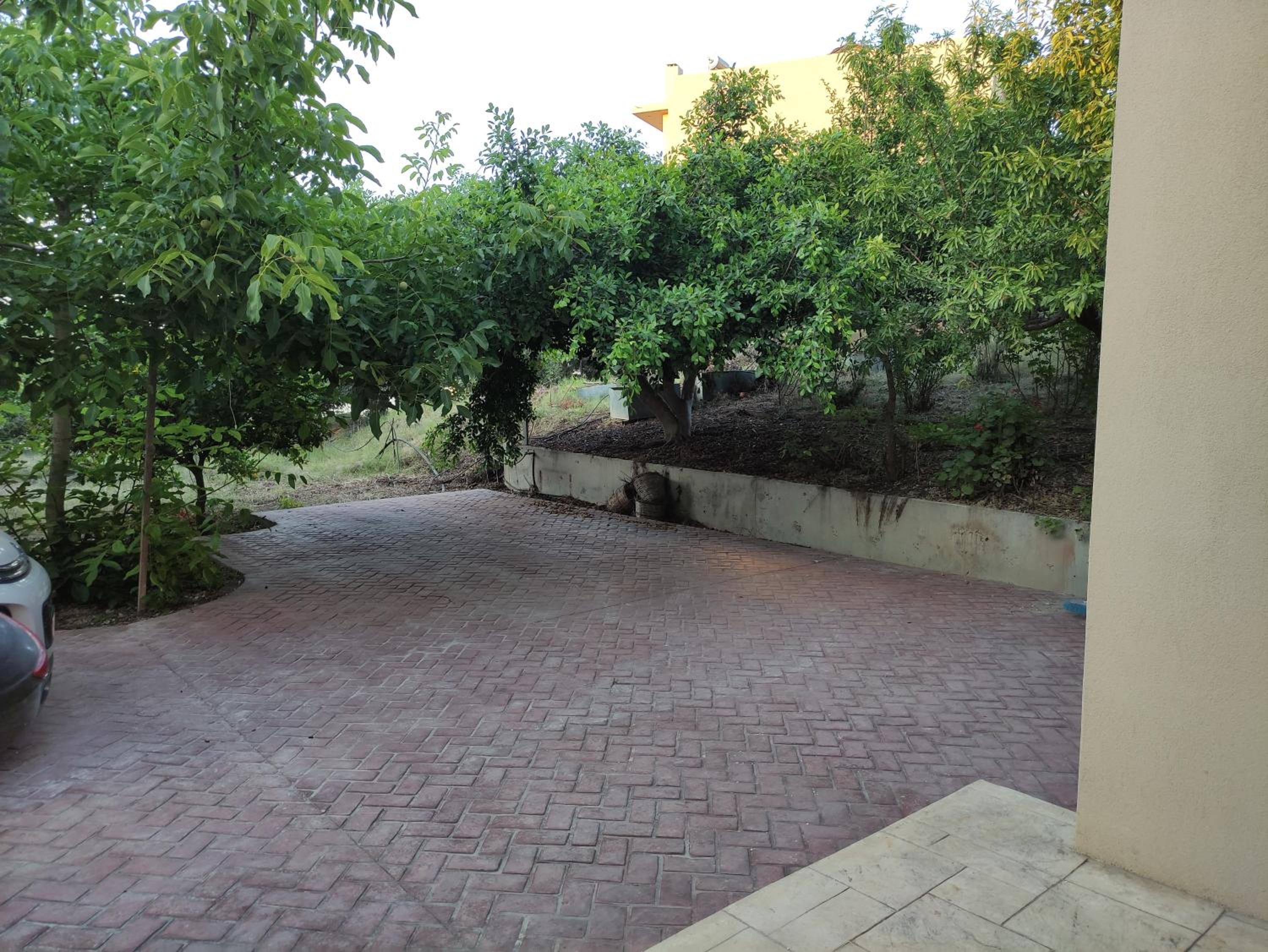 Under the trees view 4