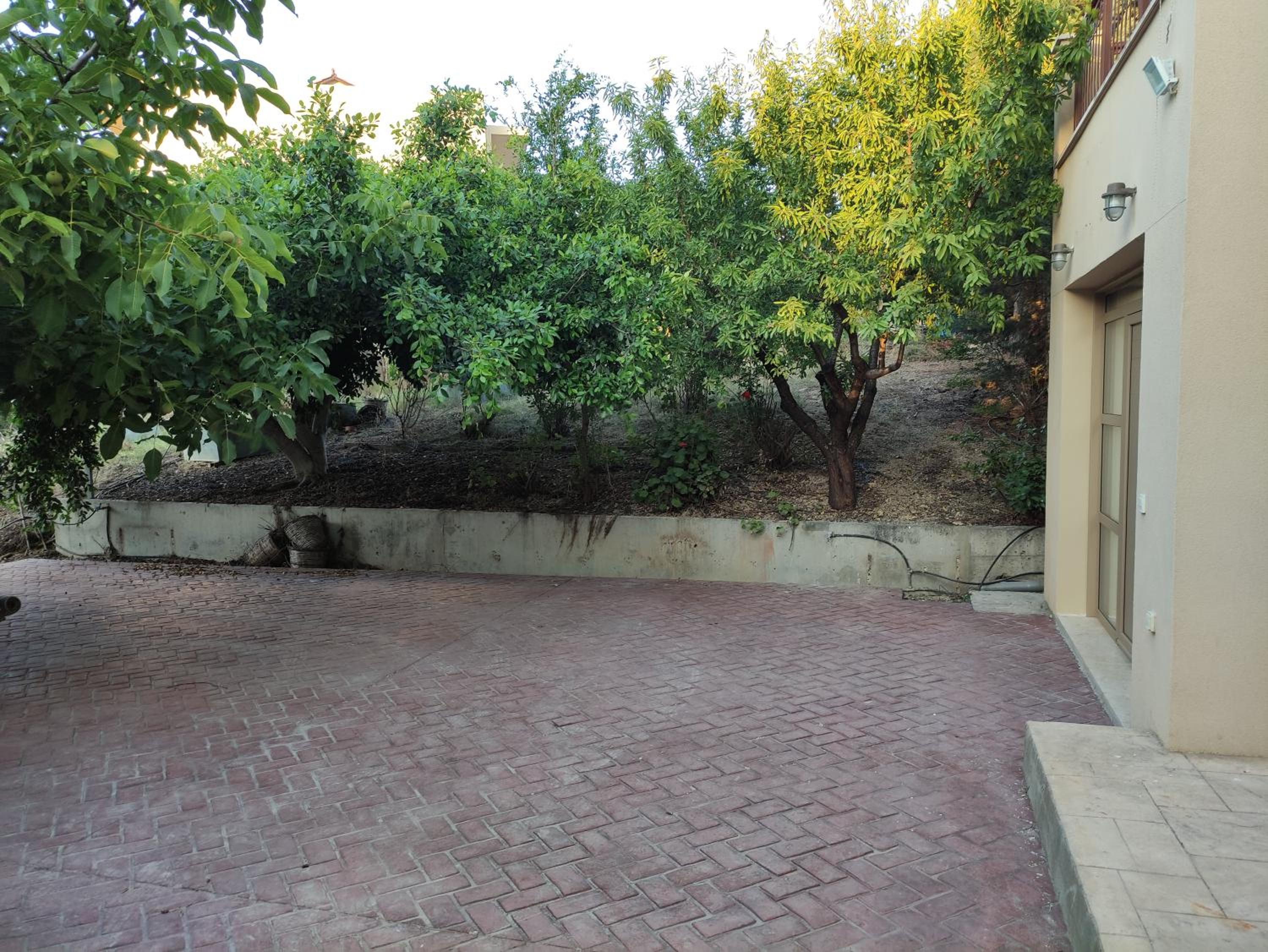 Under the trees view 5