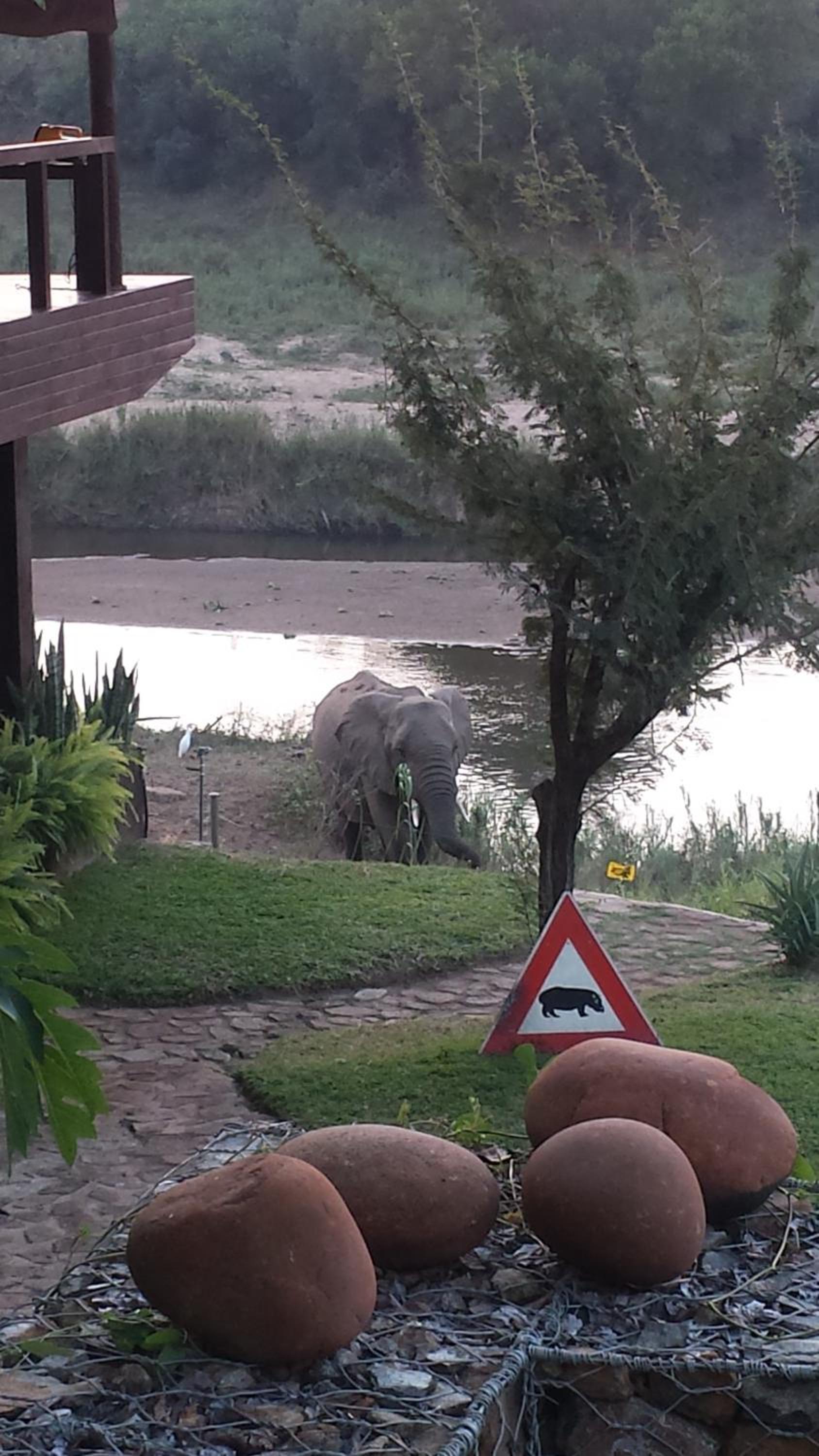 River House Lodge