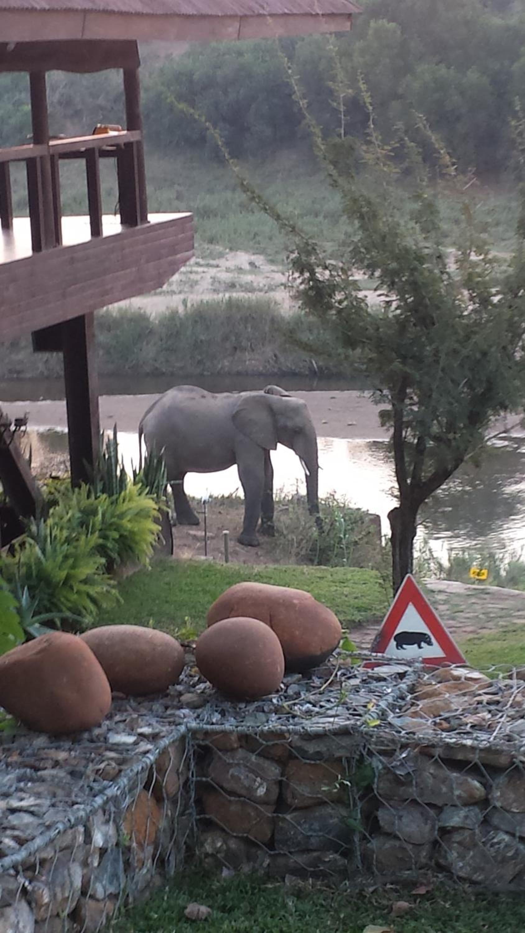 River House Lodge