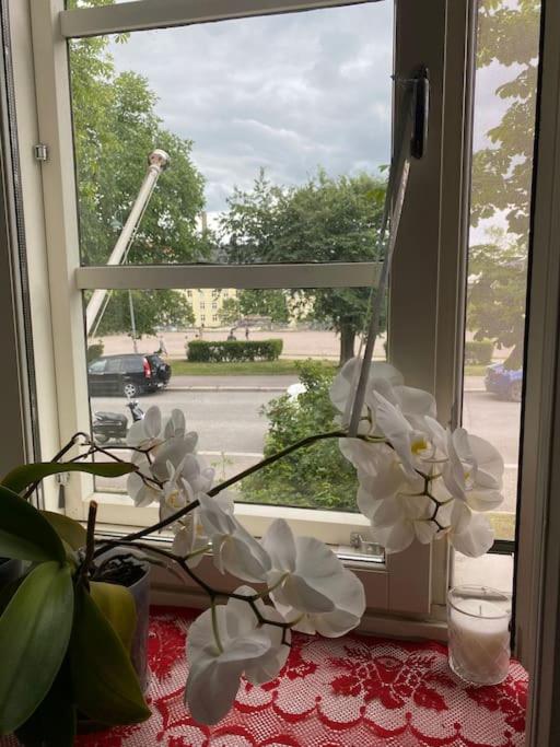 Studio in Kallio