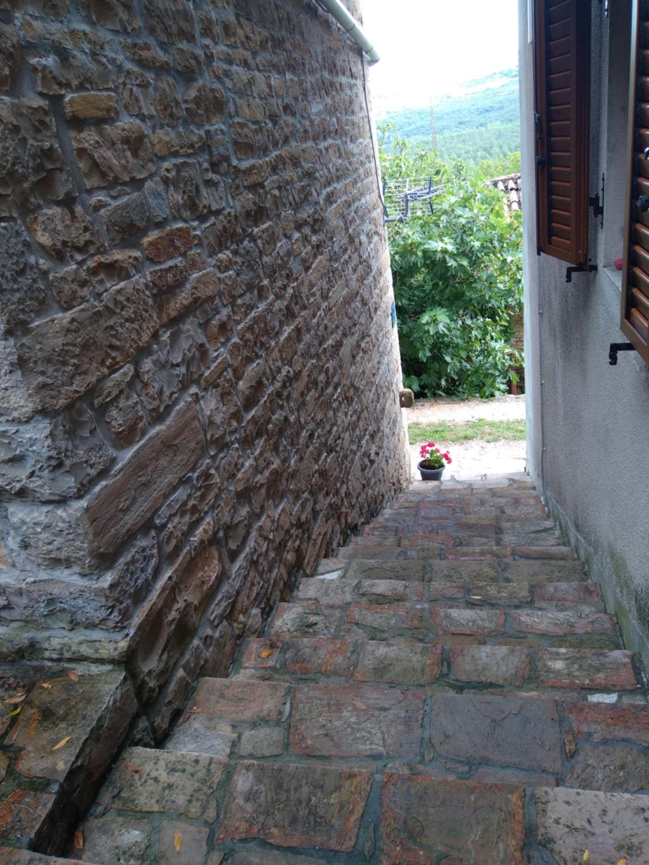 Apartment Staleta Tartuf view 3