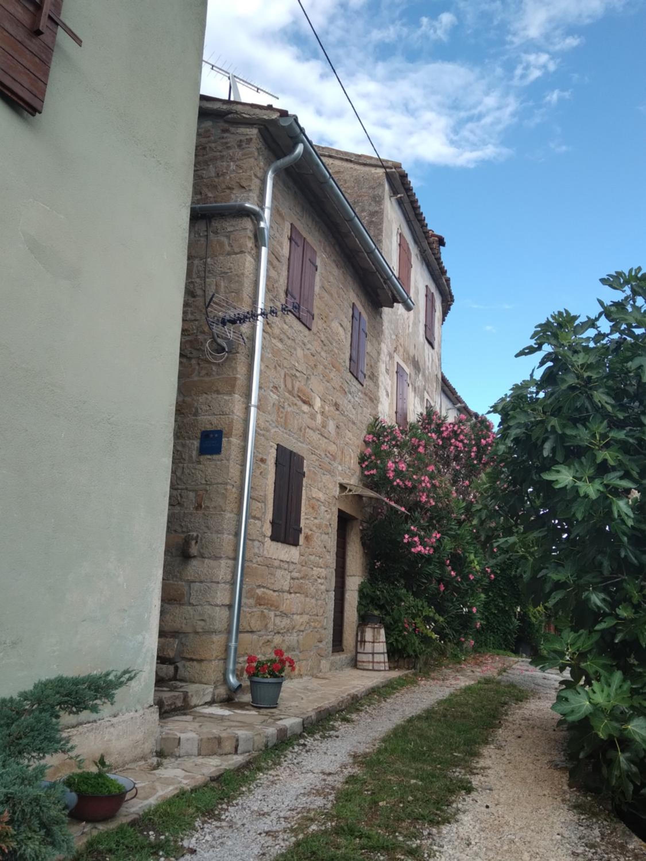 Apartment Staleta Tartuf view 2