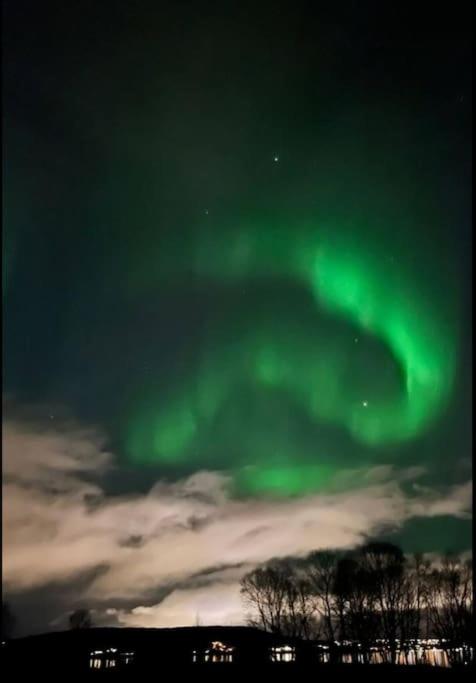 Charming place in Tromsø by the sea. view 5