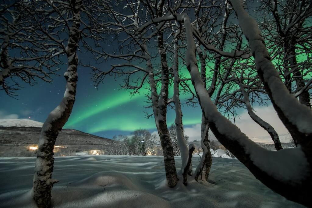 Charming place in Tromsø by the sea. view 3