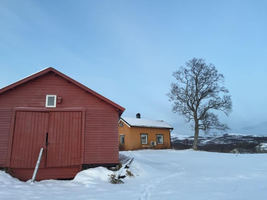 Photo 14