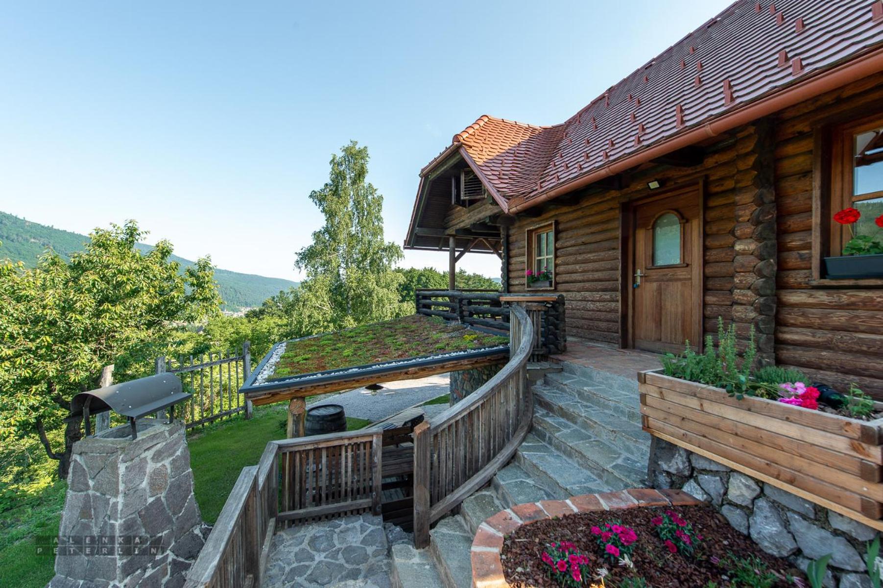 Zidan'ca Rošel view 5