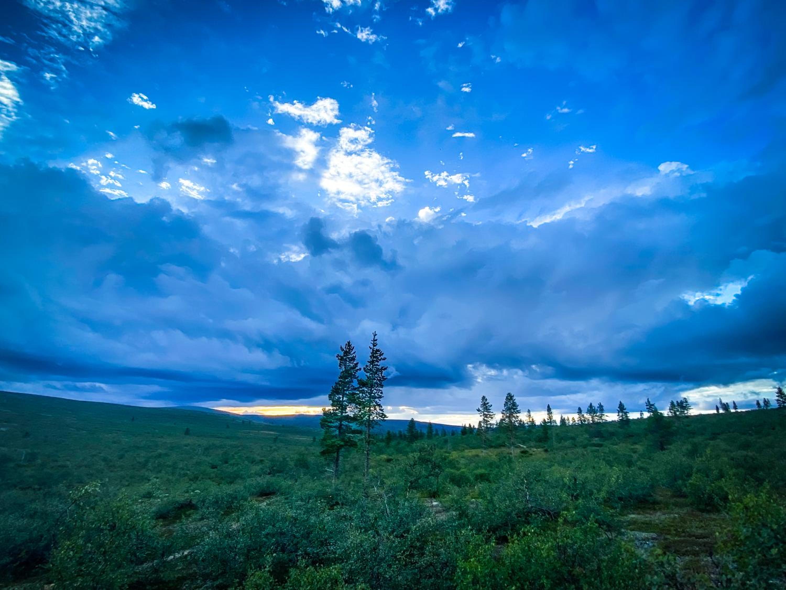 Luttotupa