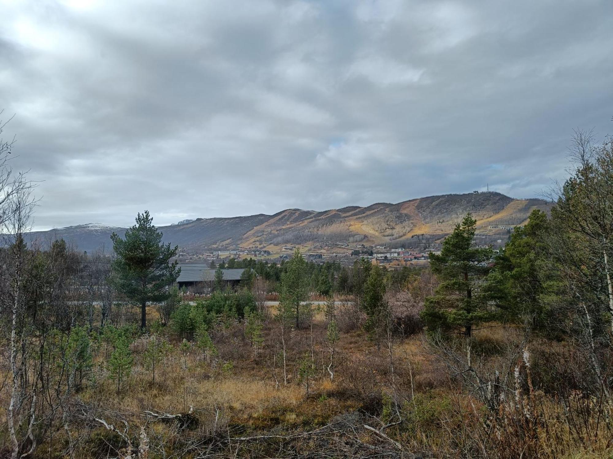 Baybu - cabin close Geilo Skisenter and the center of Geilo view 4