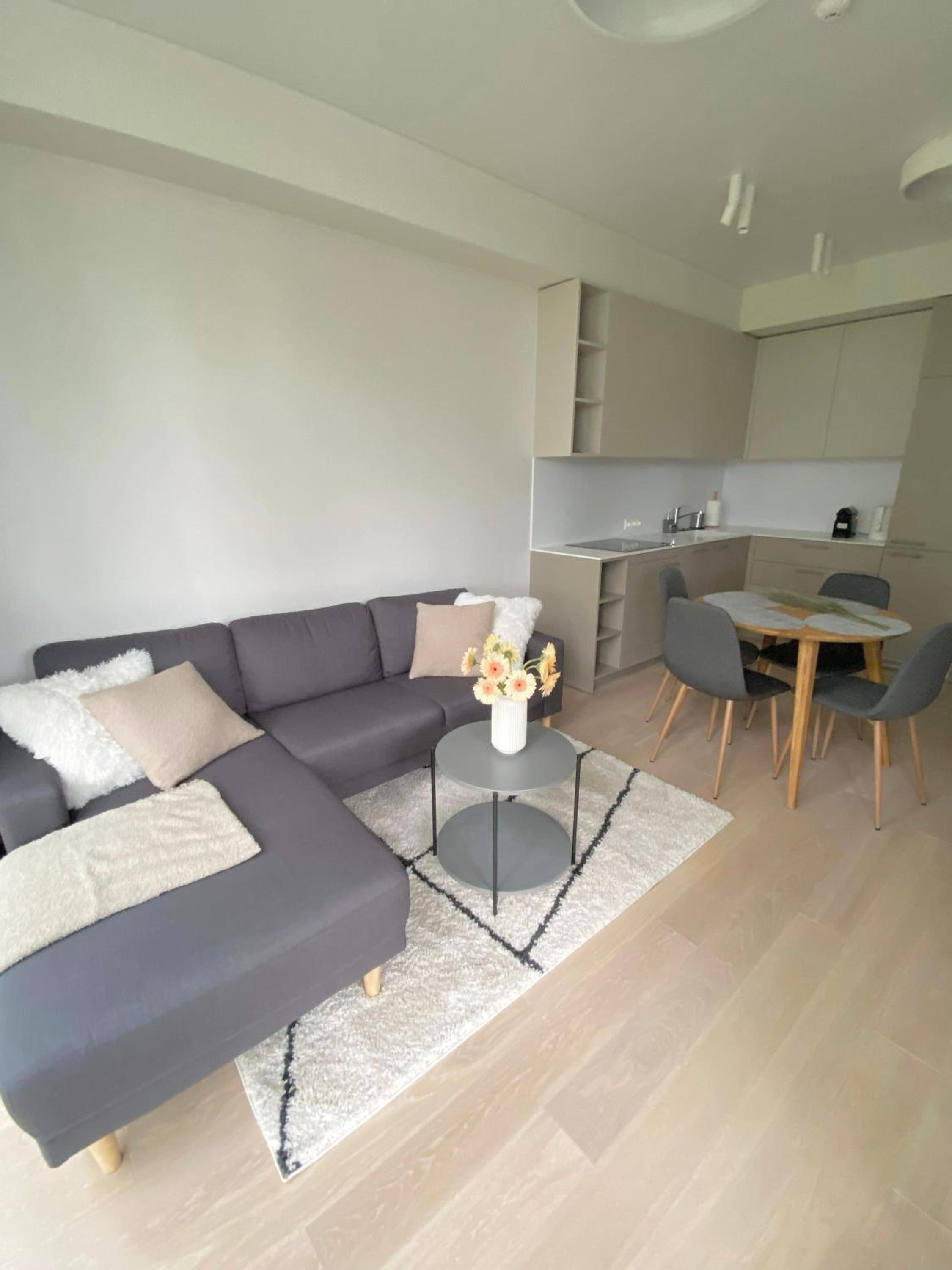 Apartment-Pine Forest Birštonas