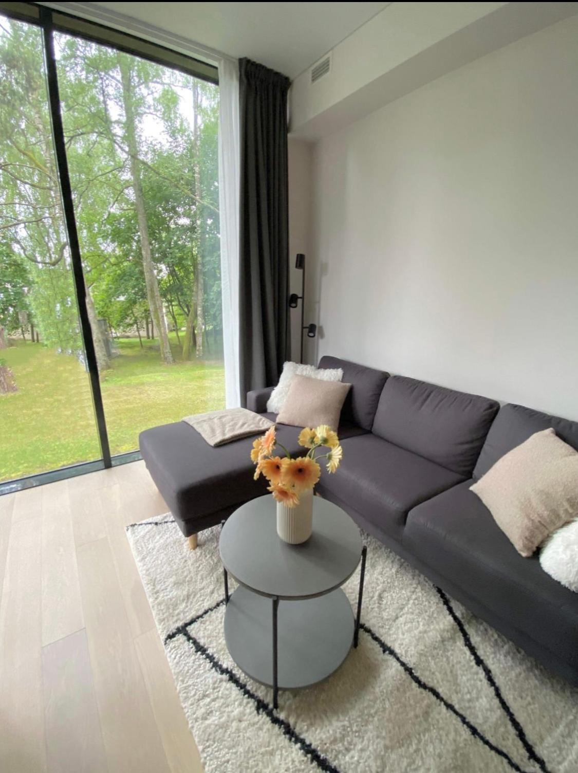 Apartment-Pine Forest Birštonas