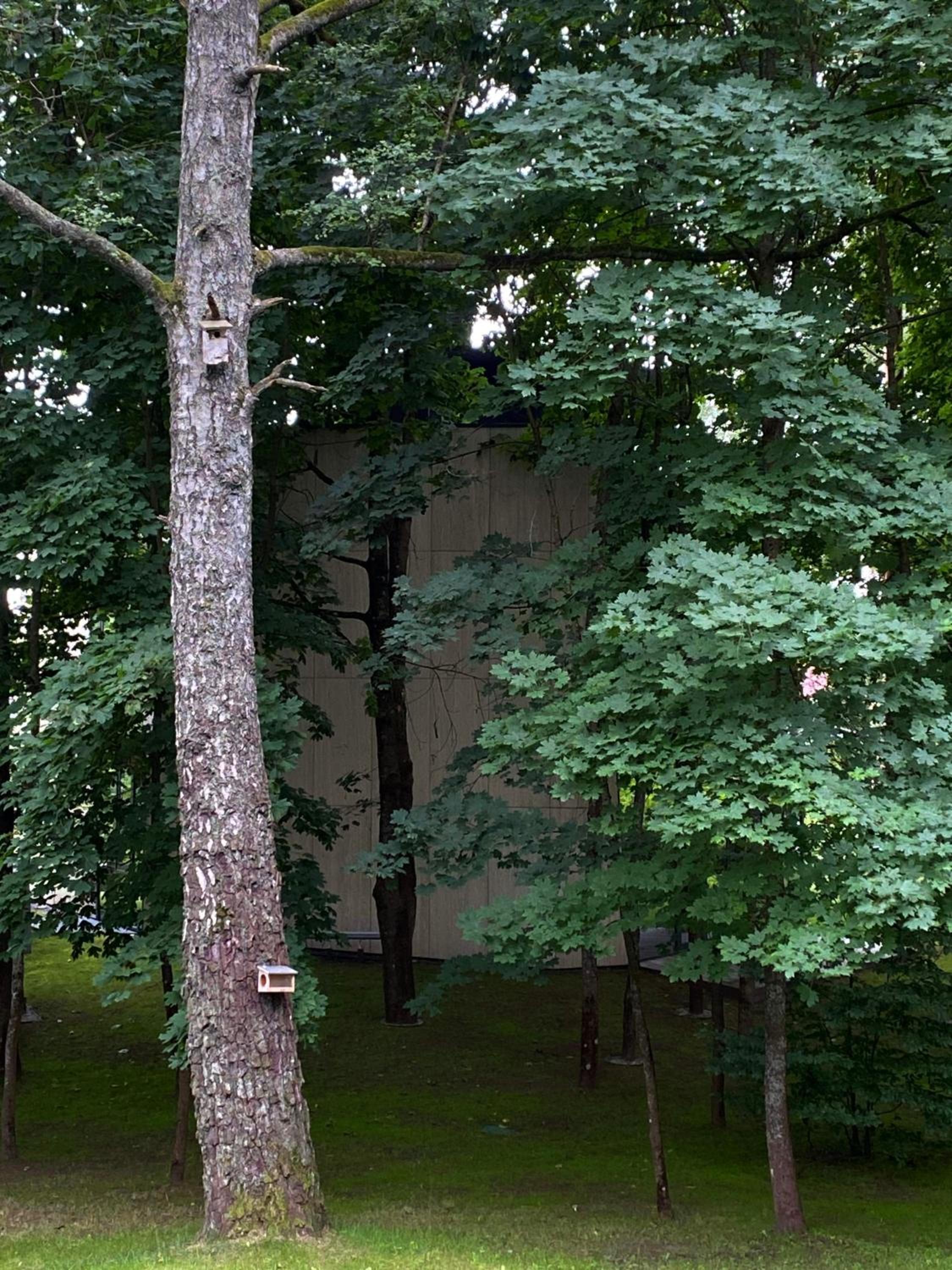 Apartment-Pine Forest Birštonas