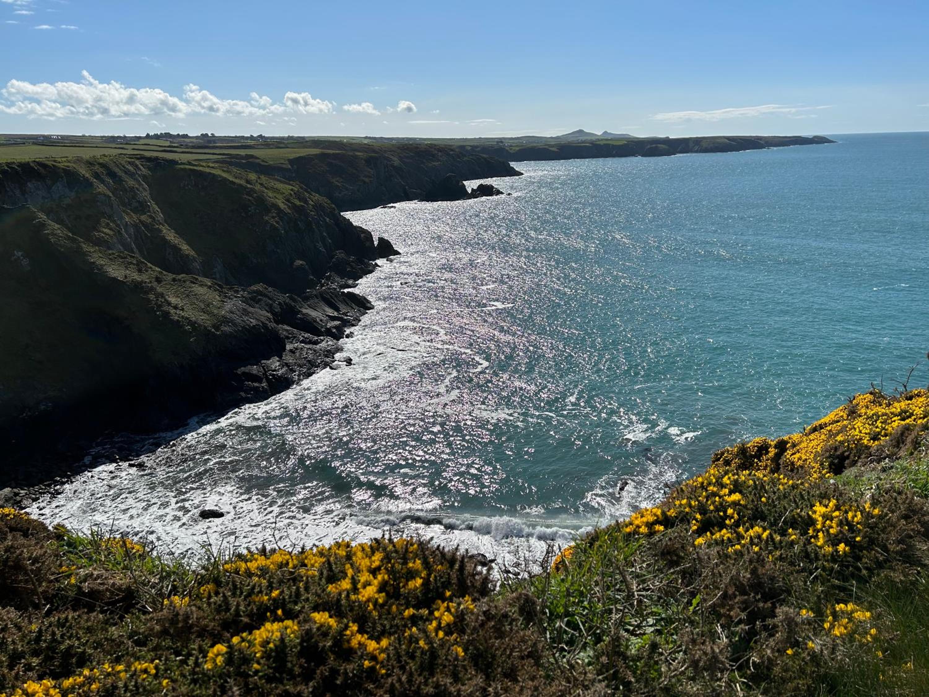 Cuddfan Fach - Pembrokeshire Stunning Barn near the Coastal Path