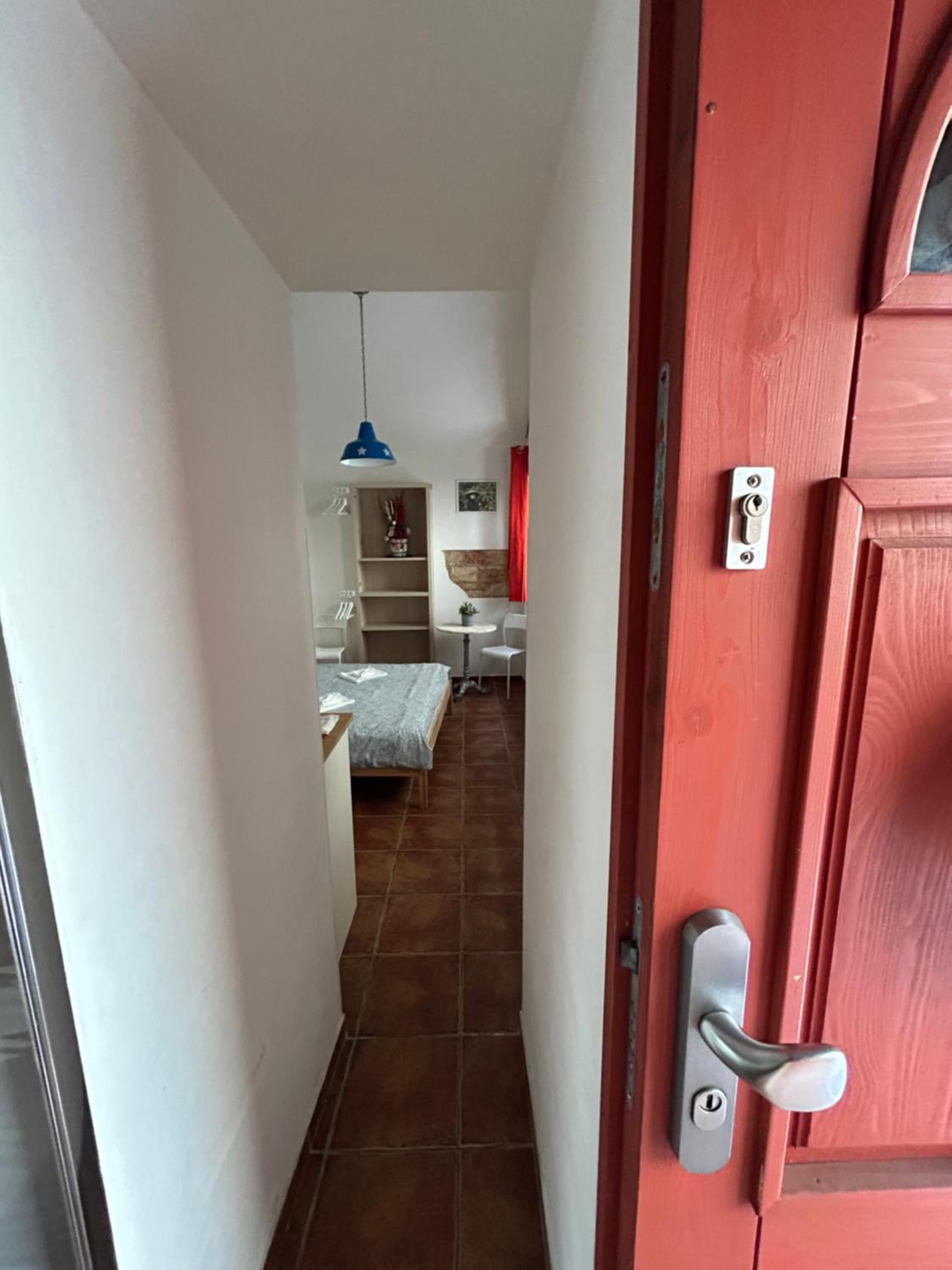 PARTY HOUSE PRAGUE - Apartments Ve Smečkách 18, CITY CENTER!!