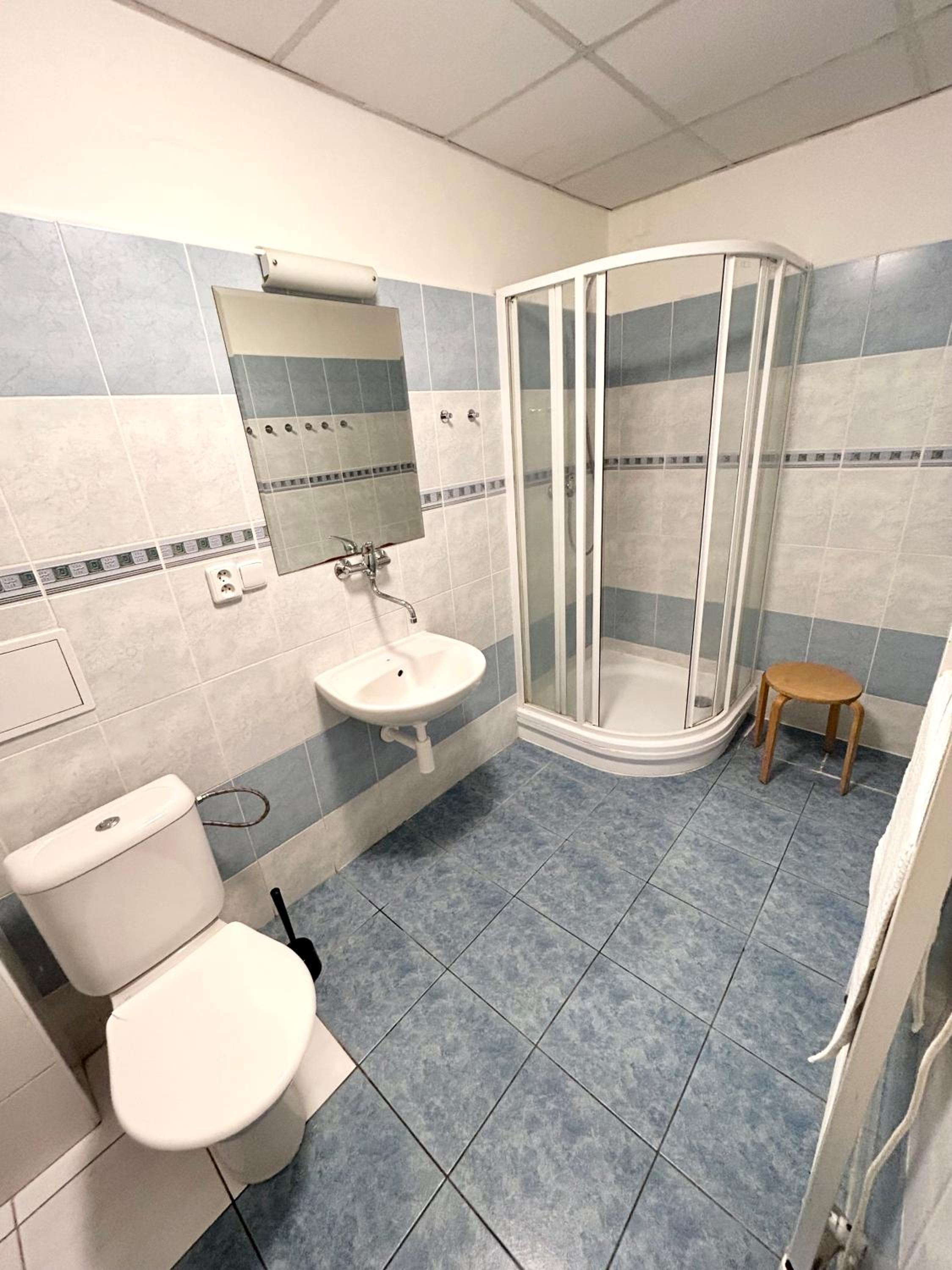 PARTY HOUSE PRAGUE - Apartments Ve Smečkách 18, CITY CENTER!!