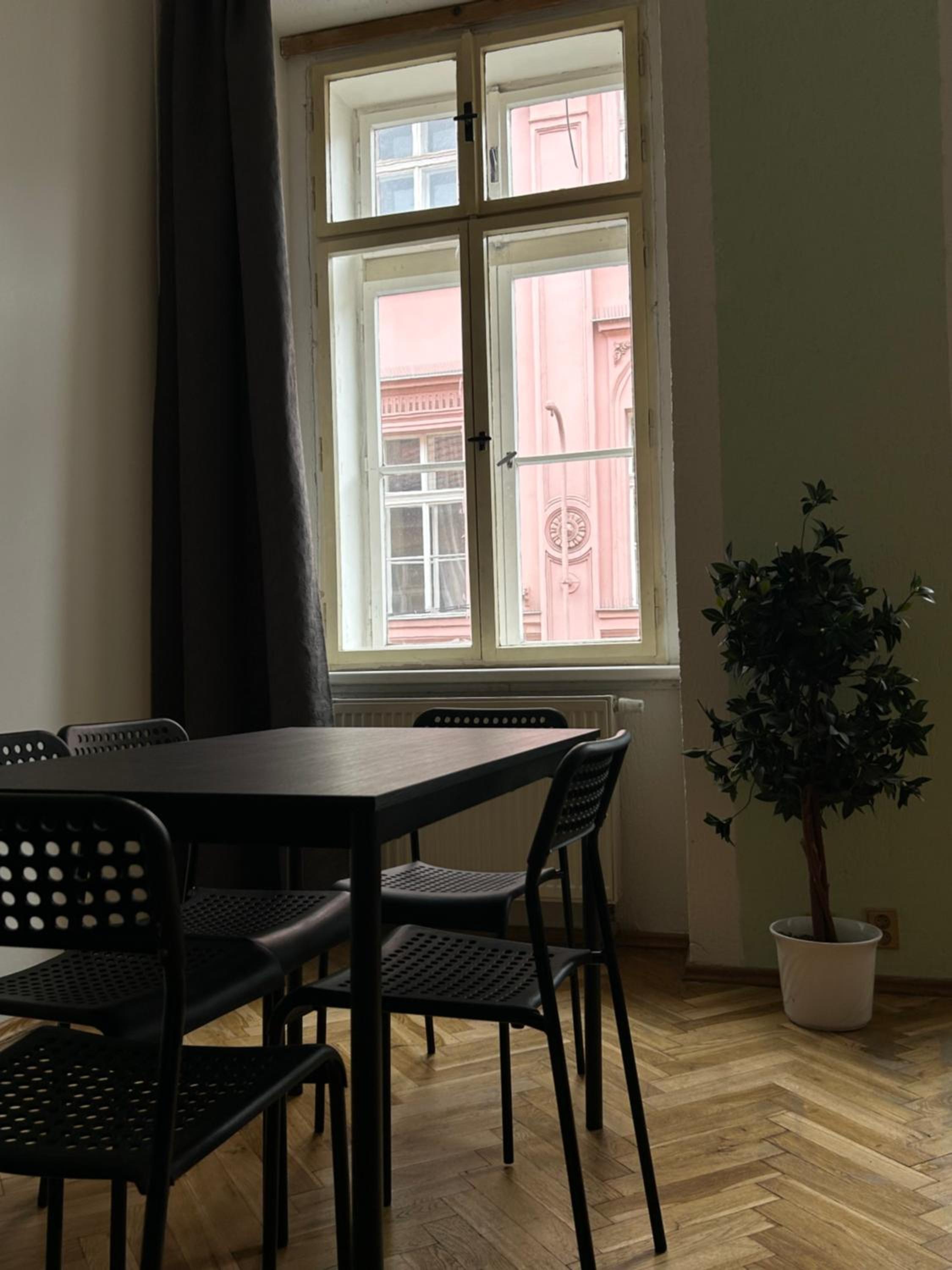PARTY HOUSE PRAGUE - Apartments Ve Smečkách 18, CITY CENTER!!