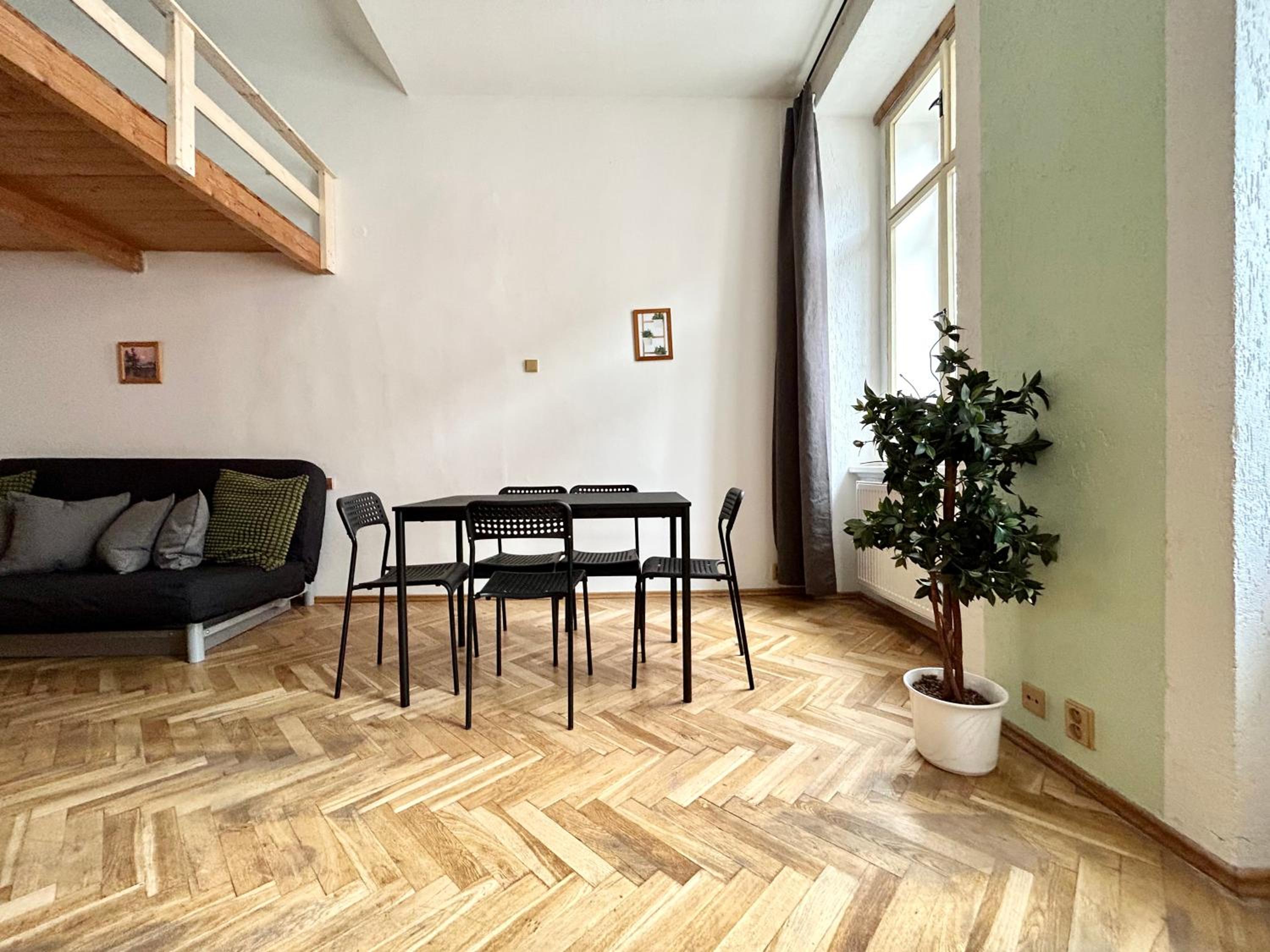 PARTY HOUSE PRAGUE - Apartments Ve Smečkách 18, CITY CENTER!!