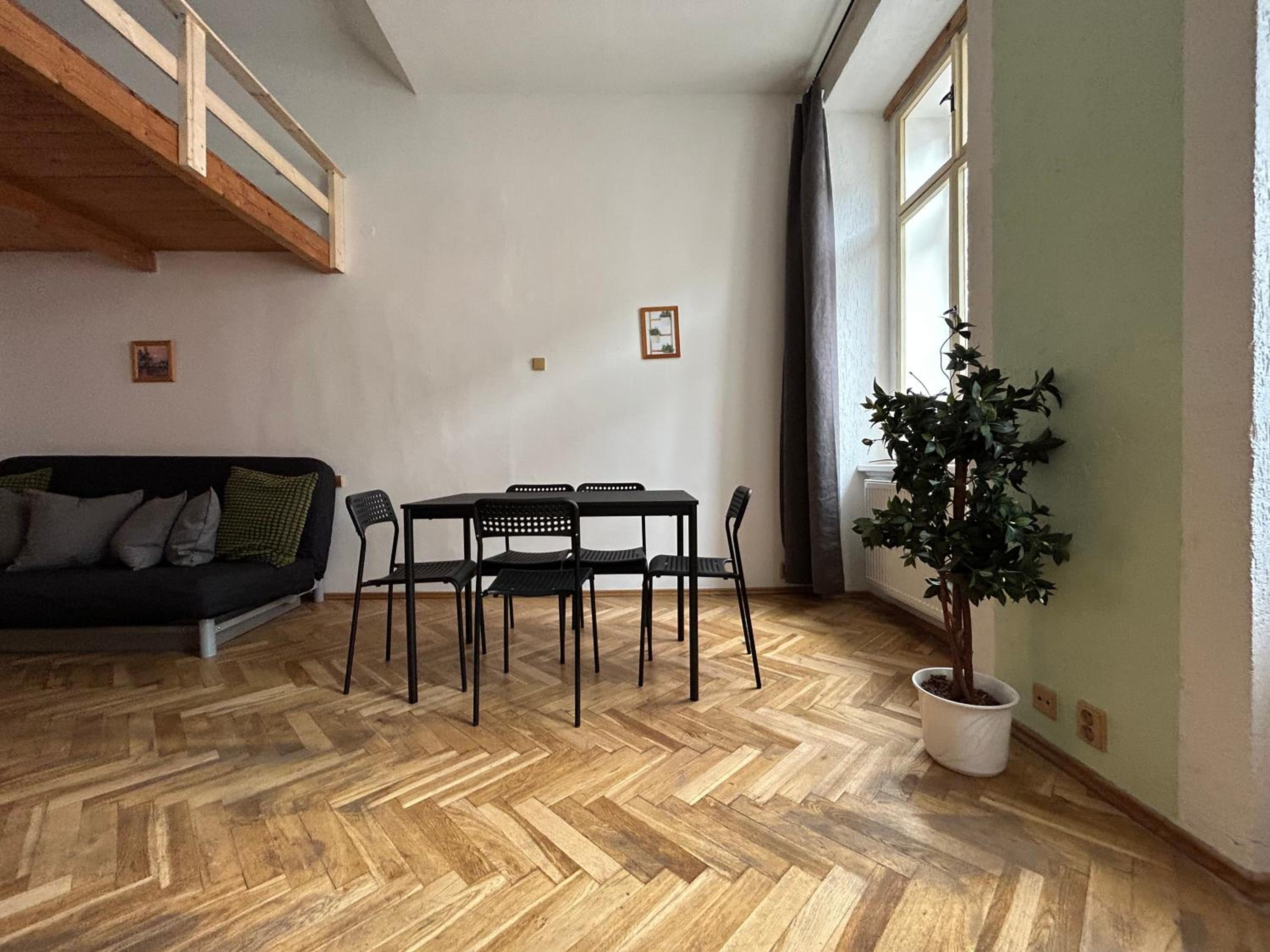 PARTY HOUSE PRAGUE - Apartments Ve Smečkách 18, CITY CENTER!!