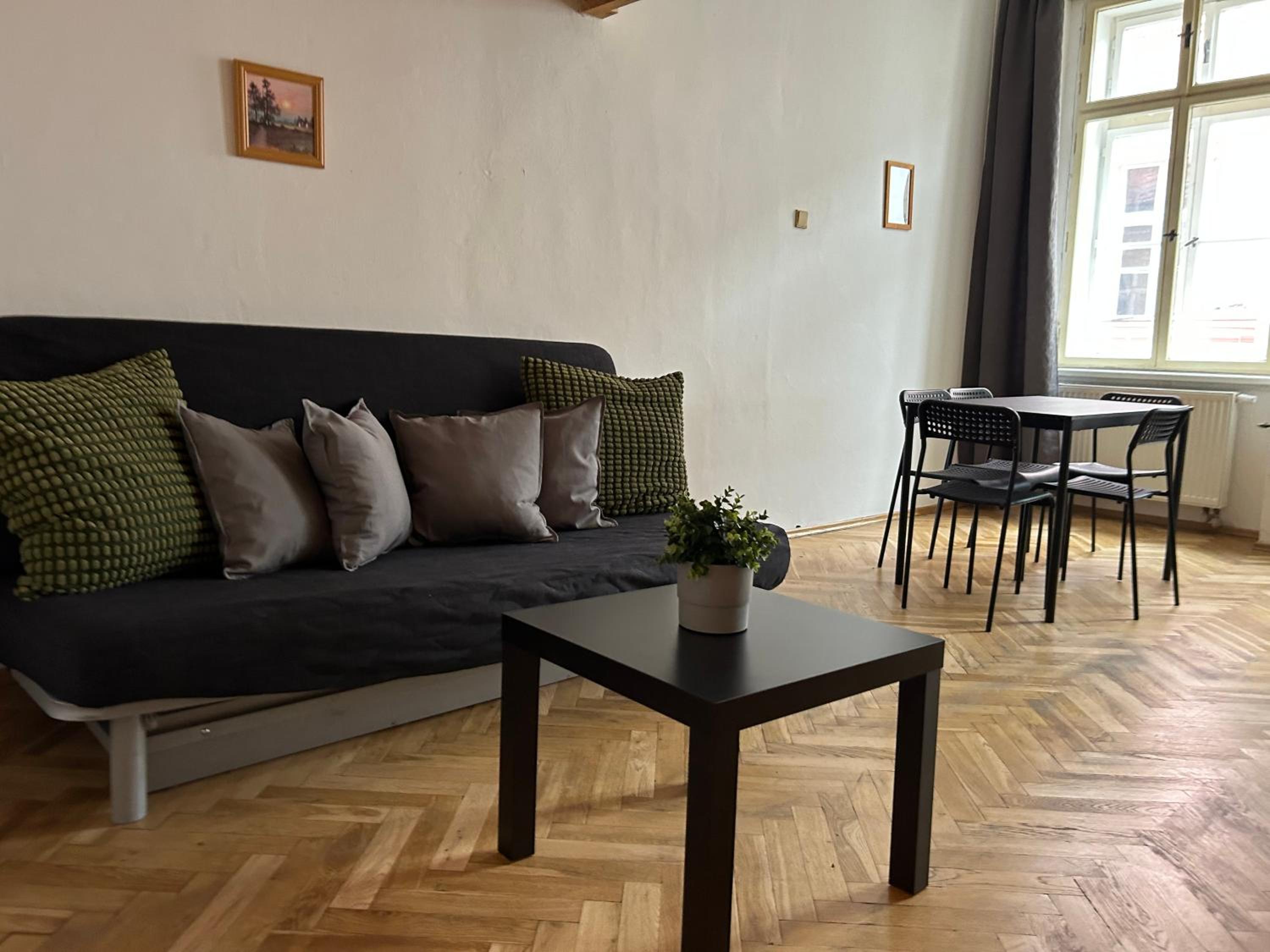 PARTY HOUSE PRAGUE - Apartments Ve Smečkách 18, CITY CENTER!!