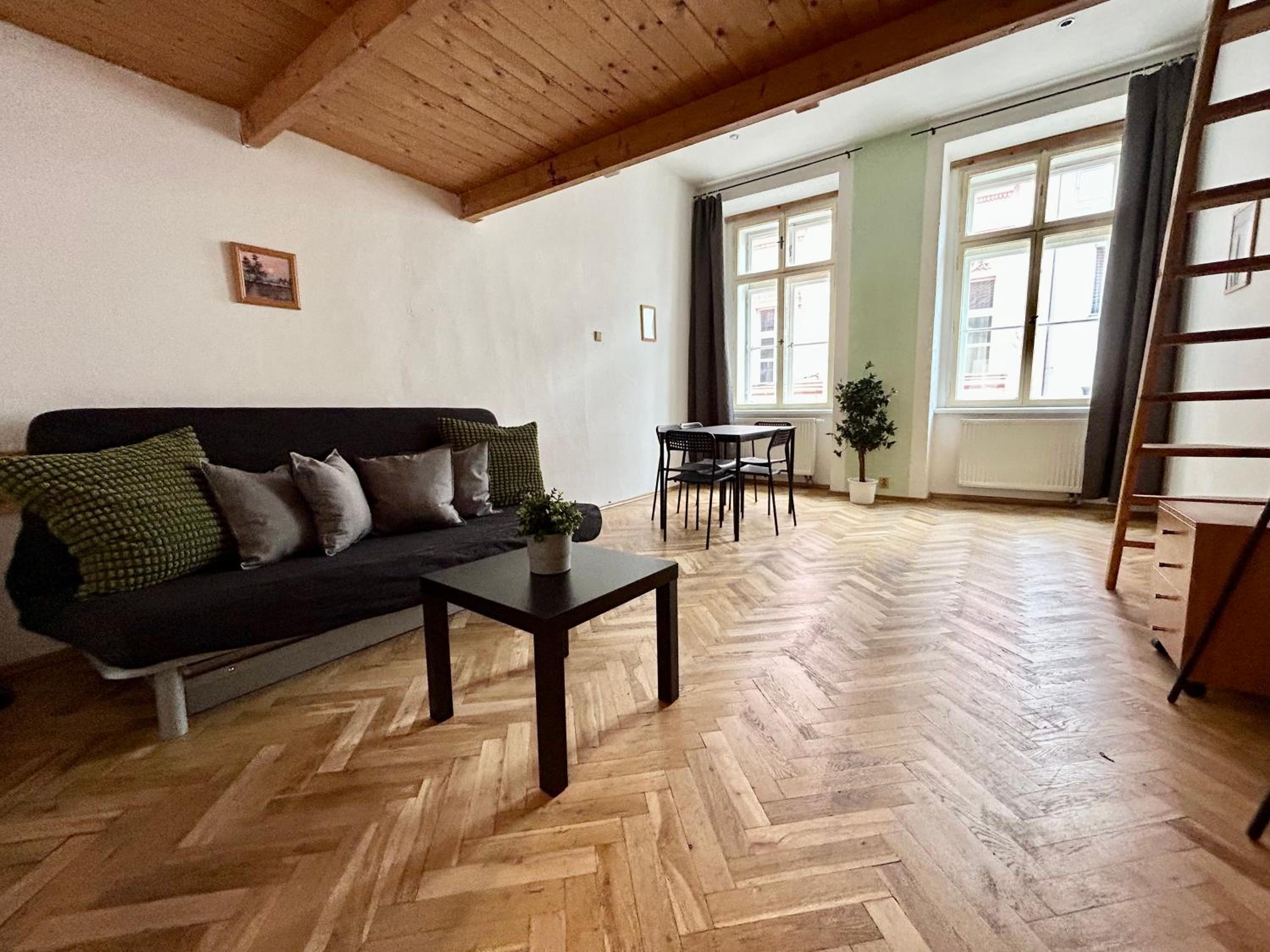 PARTY HOUSE PRAGUE - Apartments Ve Smečkách 18, CITY CENTER!!