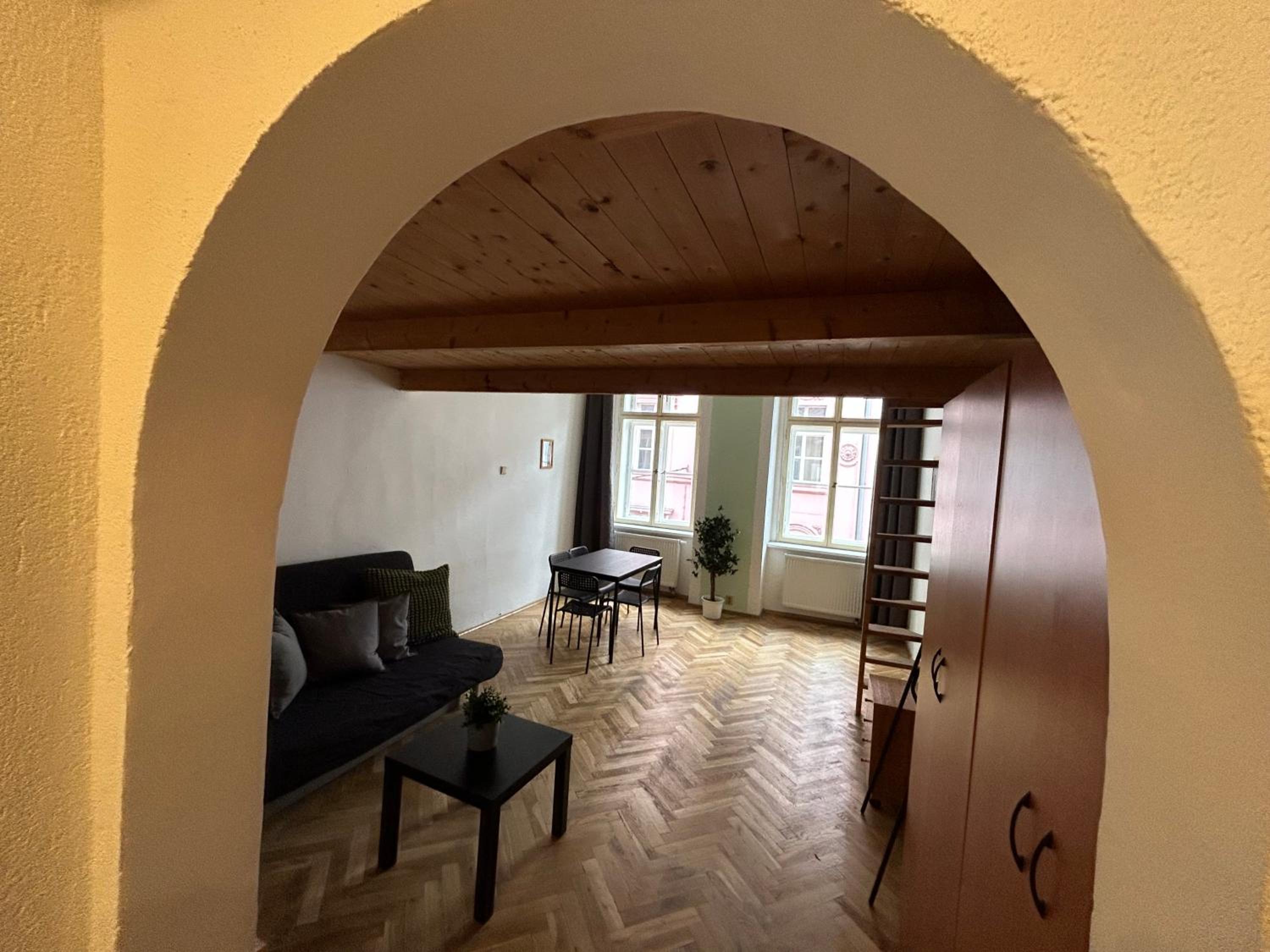 PARTY HOUSE PRAGUE - Apartments Ve Smečkách 18, CITY CENTER!!