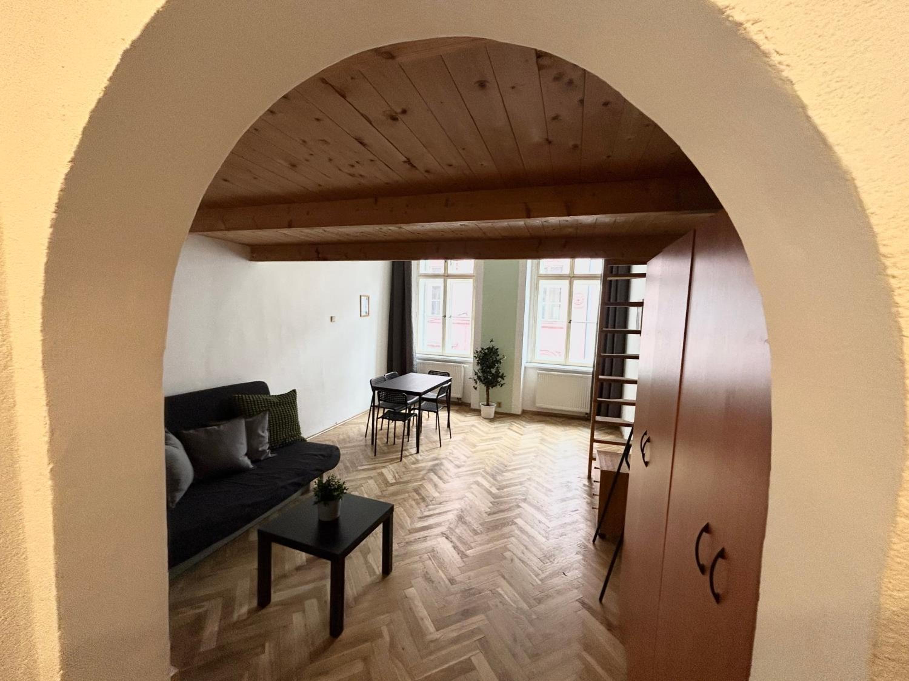 PARTY HOUSE PRAGUE - Apartments Ve Smečkách 18, CITY CENTER!!