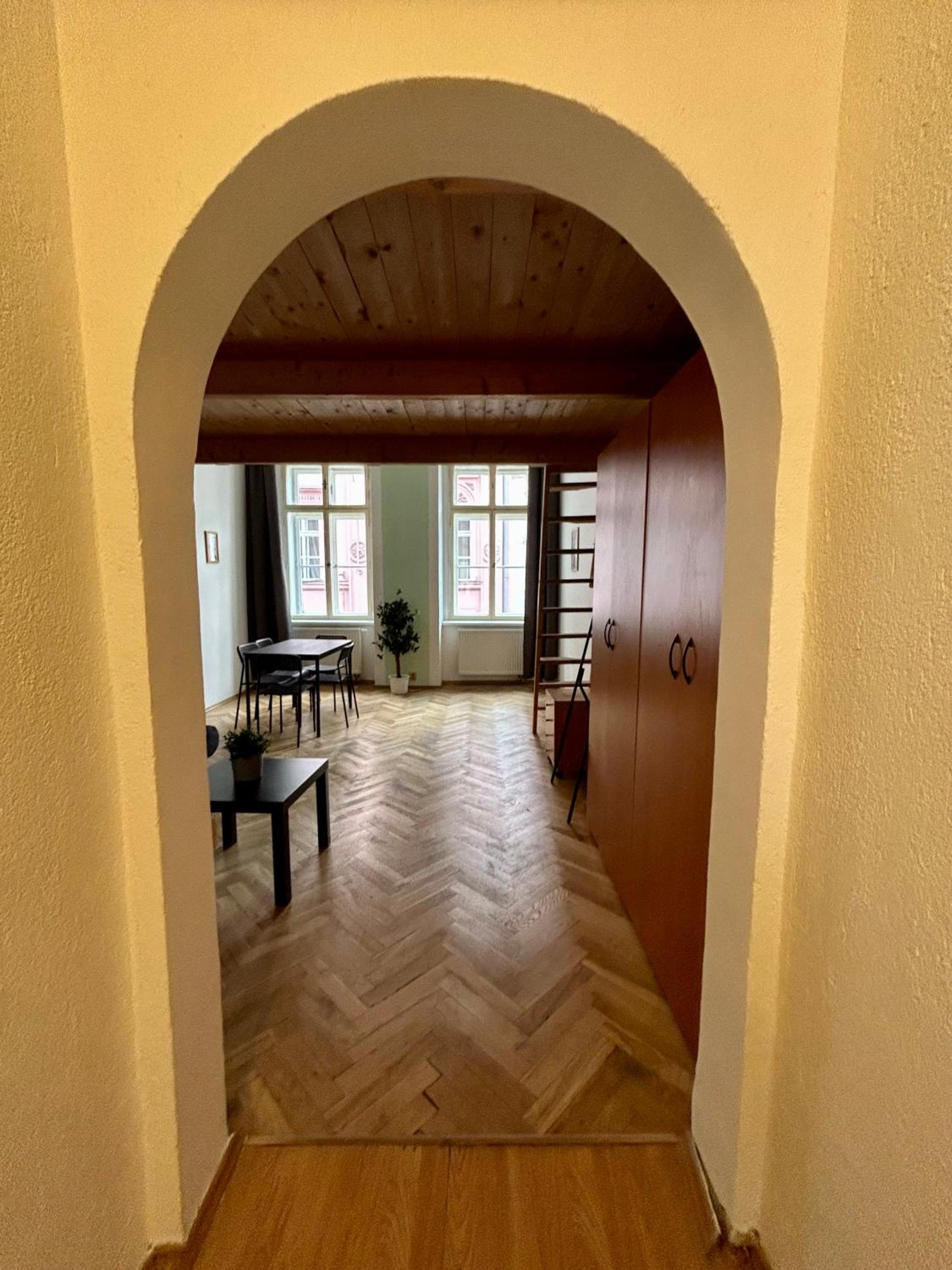 PARTY HOUSE PRAGUE - Apartments Ve Smečkách 18, CITY CENTER!!