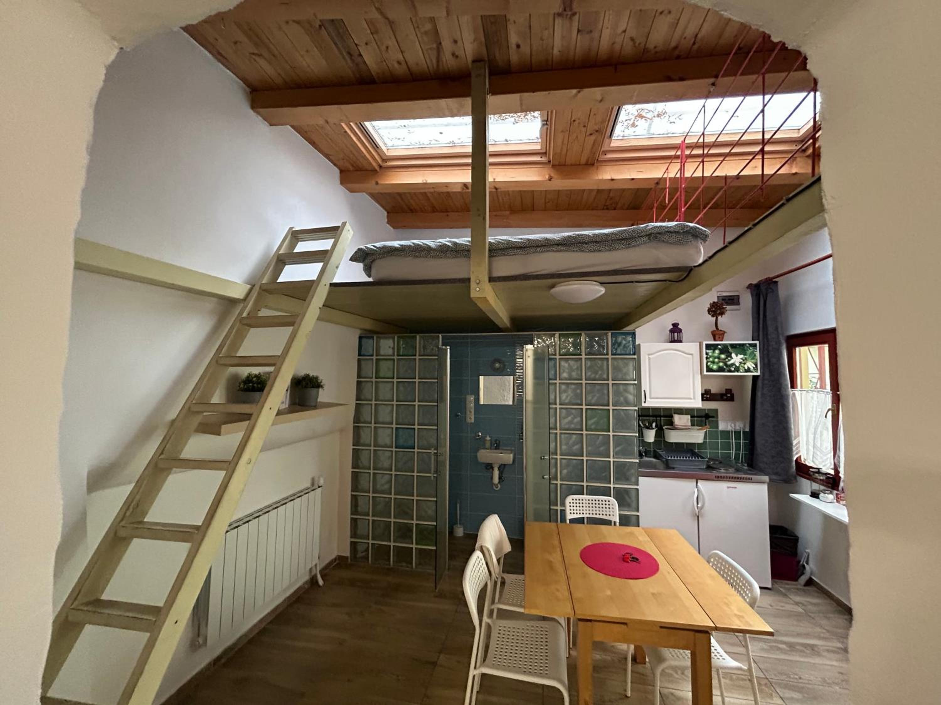 PARTY HOUSE PRAGUE - Apartments Ve Smečkách 18, CITY CENTER!!