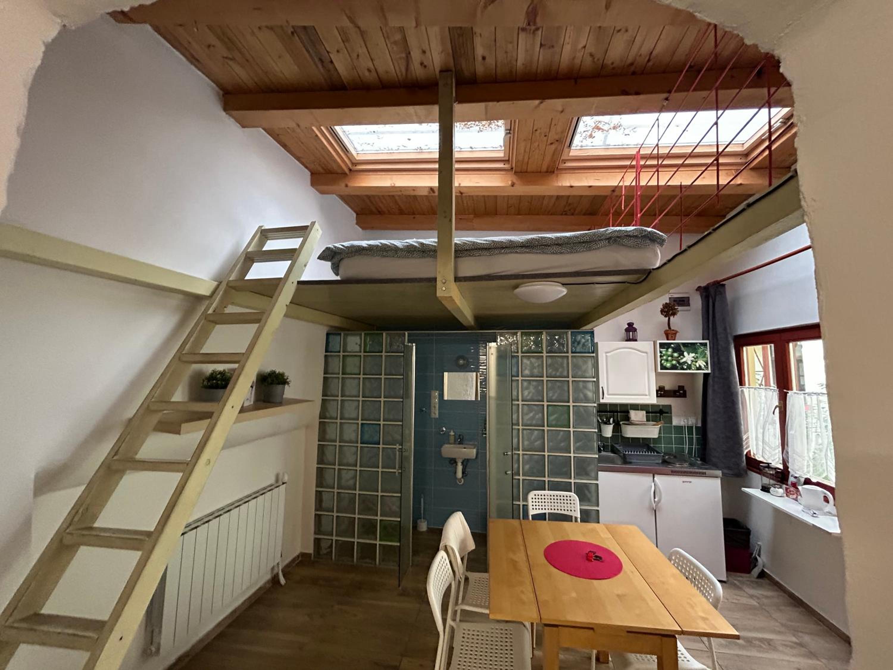 PARTY HOUSE PRAGUE - Apartments Ve Smečkách 18, CITY CENTER!!