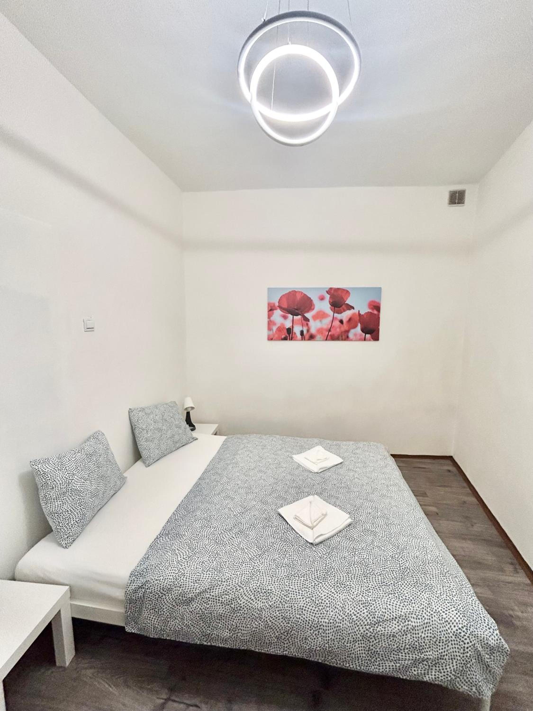 PARTY HOUSE PRAGUE - Apartments Ve Smečkách 18, CITY CENTER!!