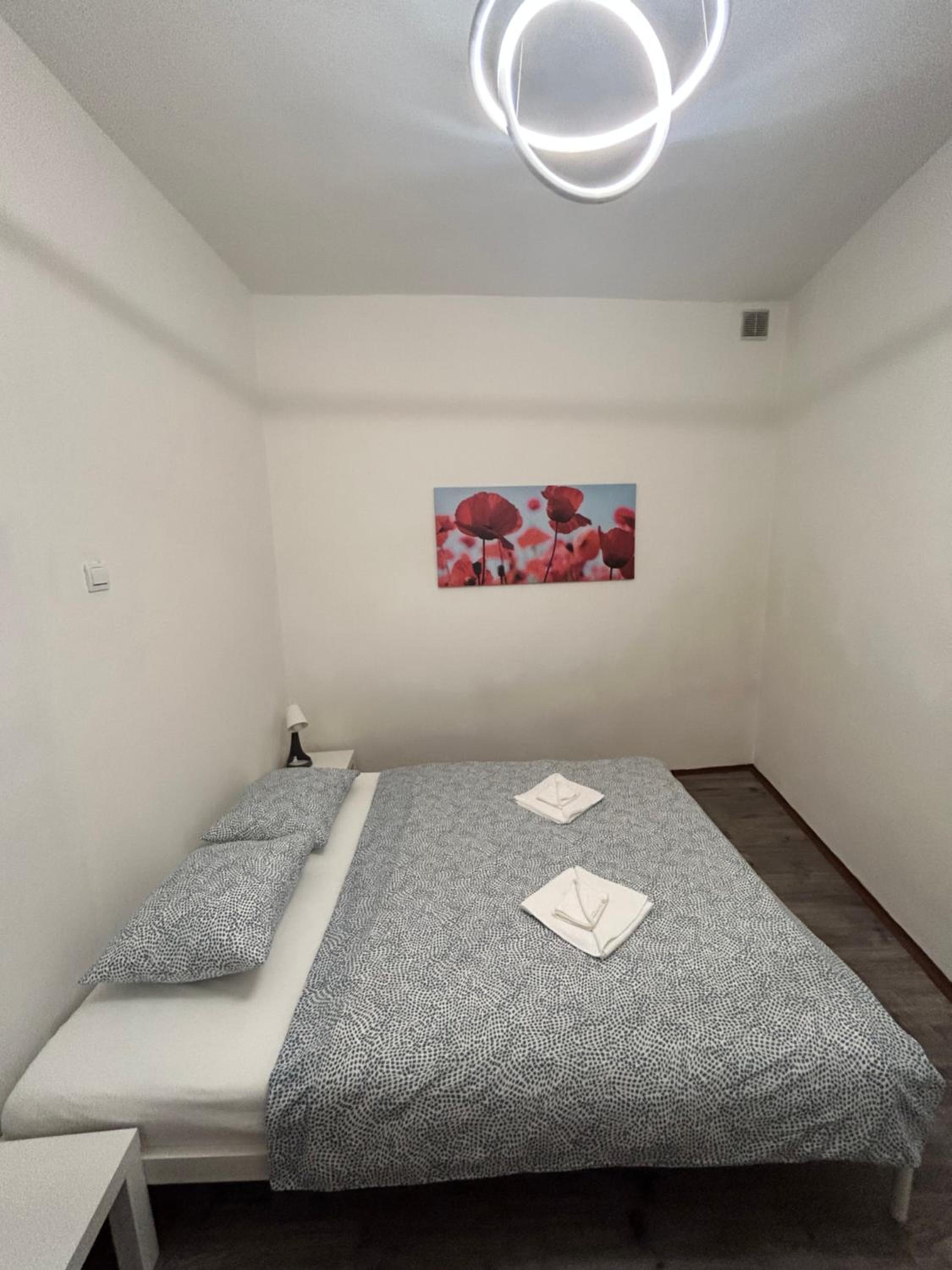 PARTY HOUSE PRAGUE - Apartments Ve Smečkách 18, CITY CENTER!!