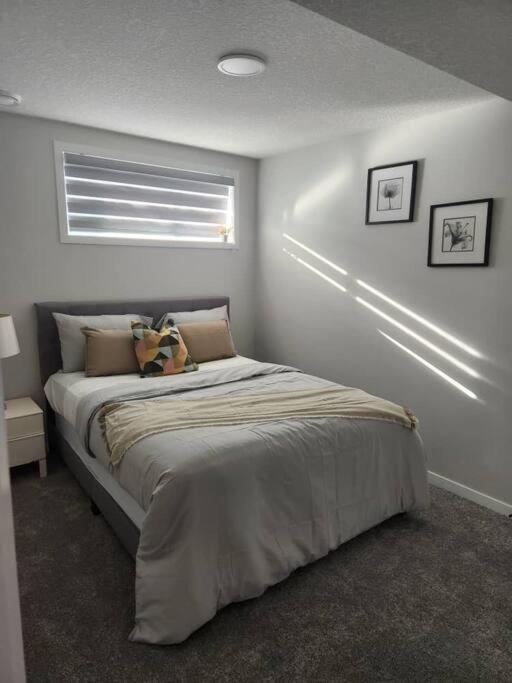 2-bedroom basement apartment