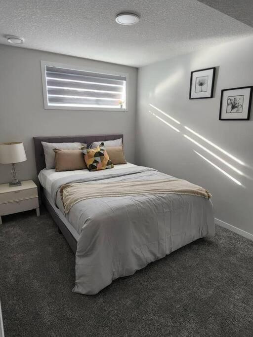 2-bedroom basement apartment