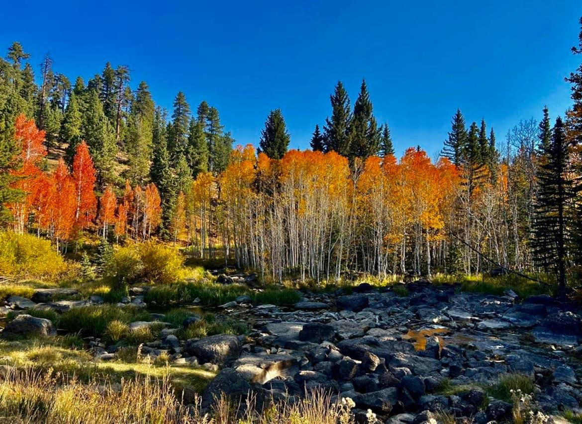 Aspen Glow Lodge ~ Luxury Cabin in Duck Creek