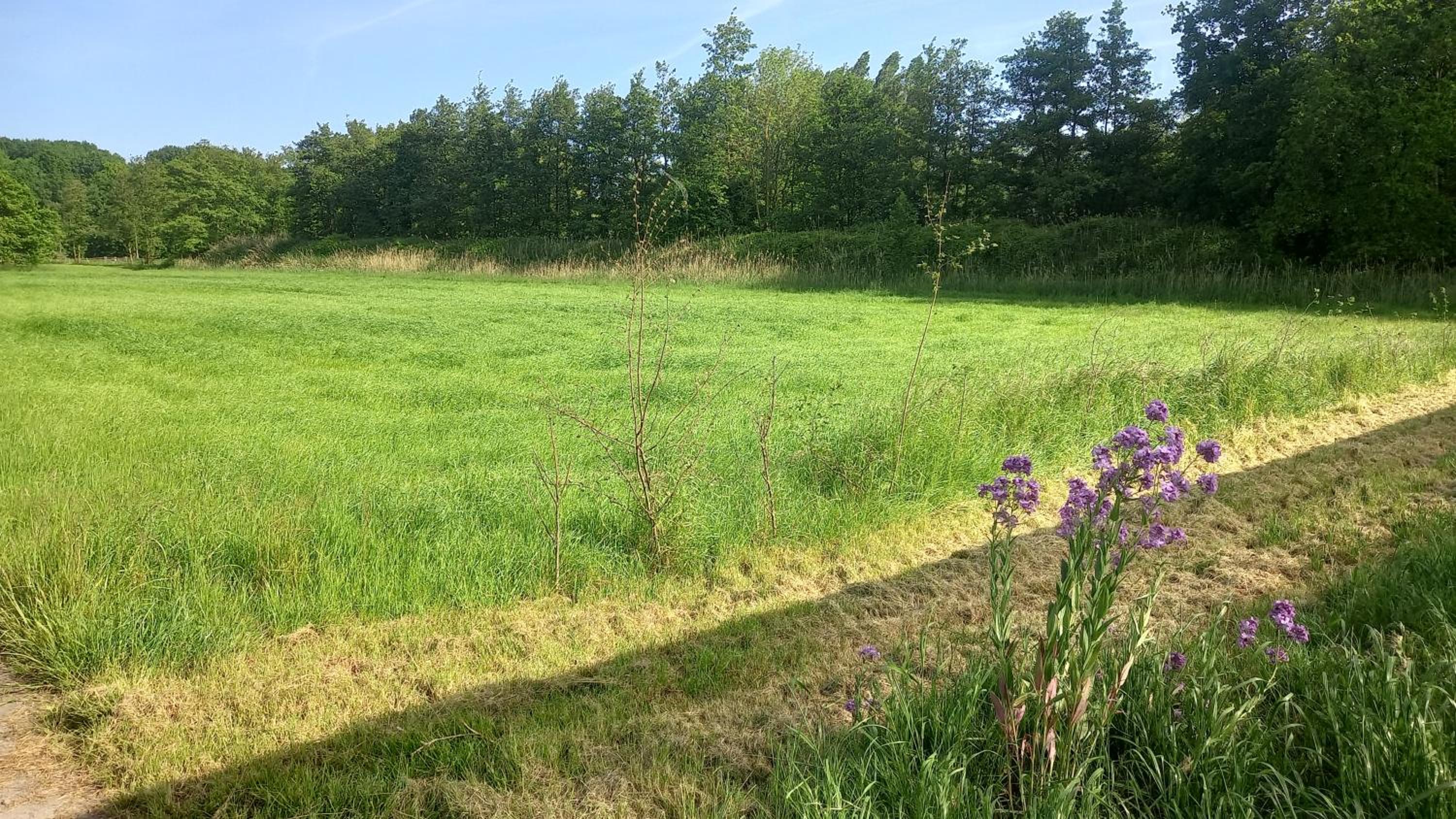 Campingspots to put on your own tent with or without electricity, with no bed for 12 euro or 25 euro and 2 furnished glampingtents for minimum 75 euro in a