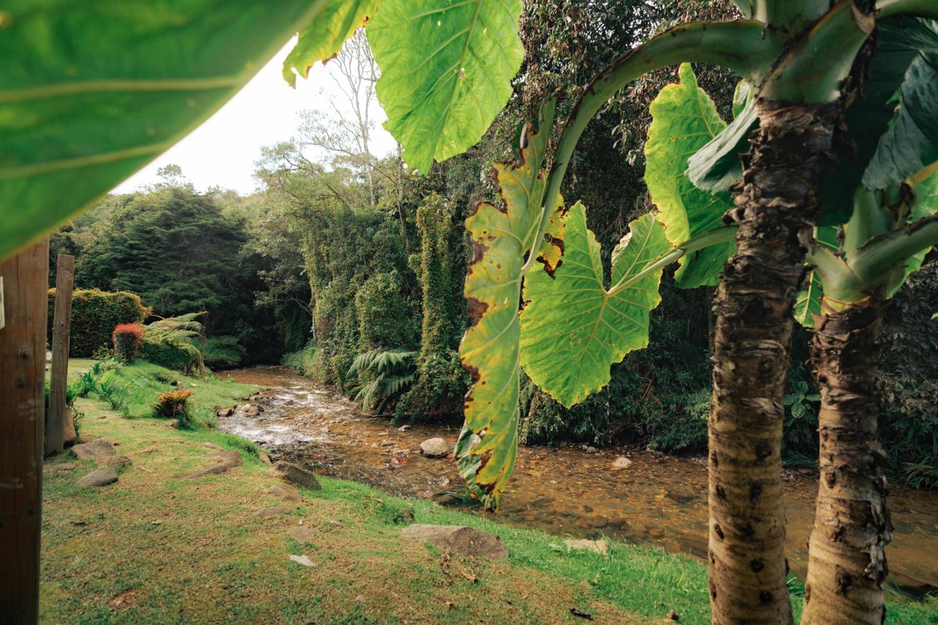 Photo 60