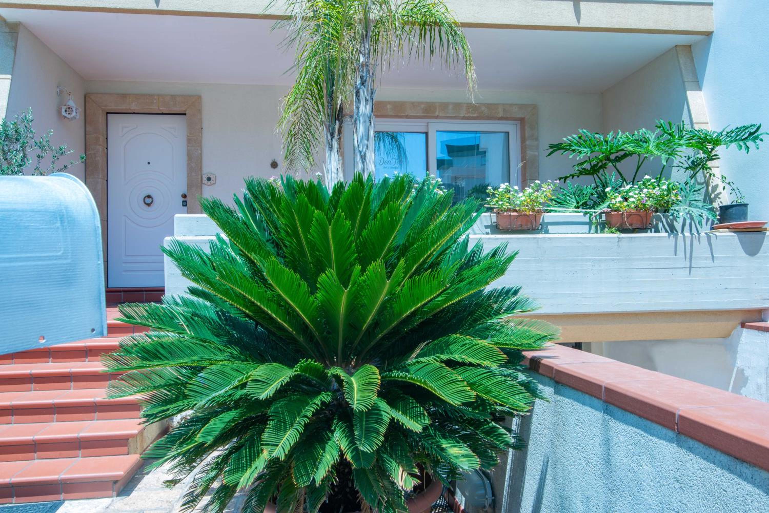 B&b Dea Teti view 3