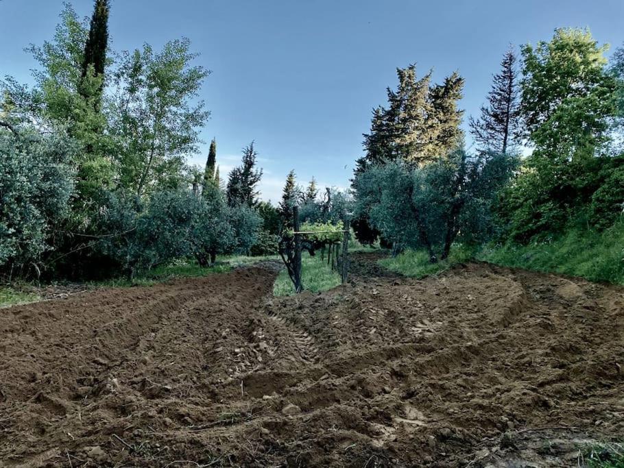 Podere San Giorgio