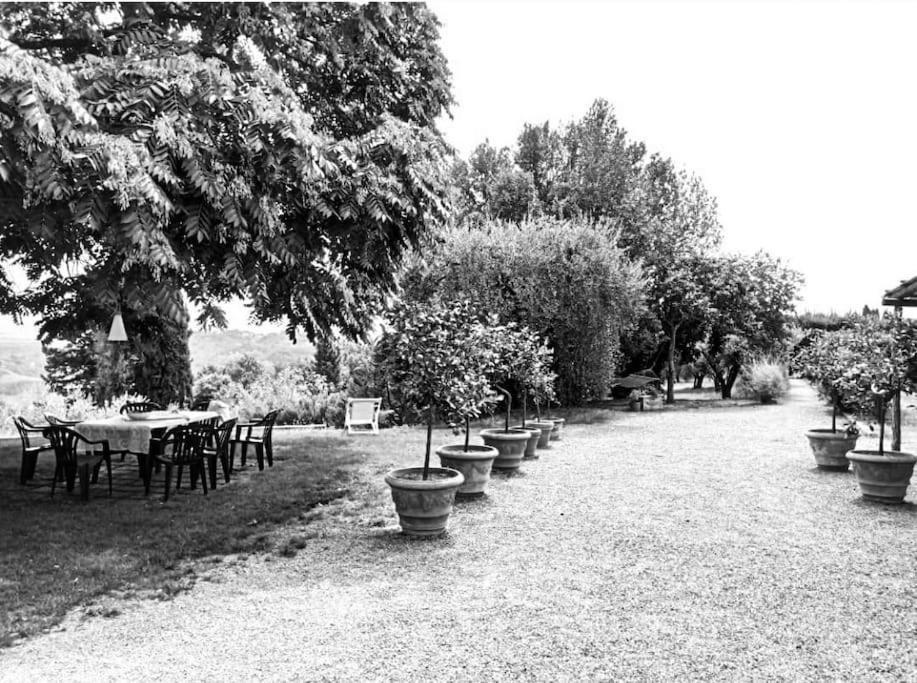 Podere San Giorgio