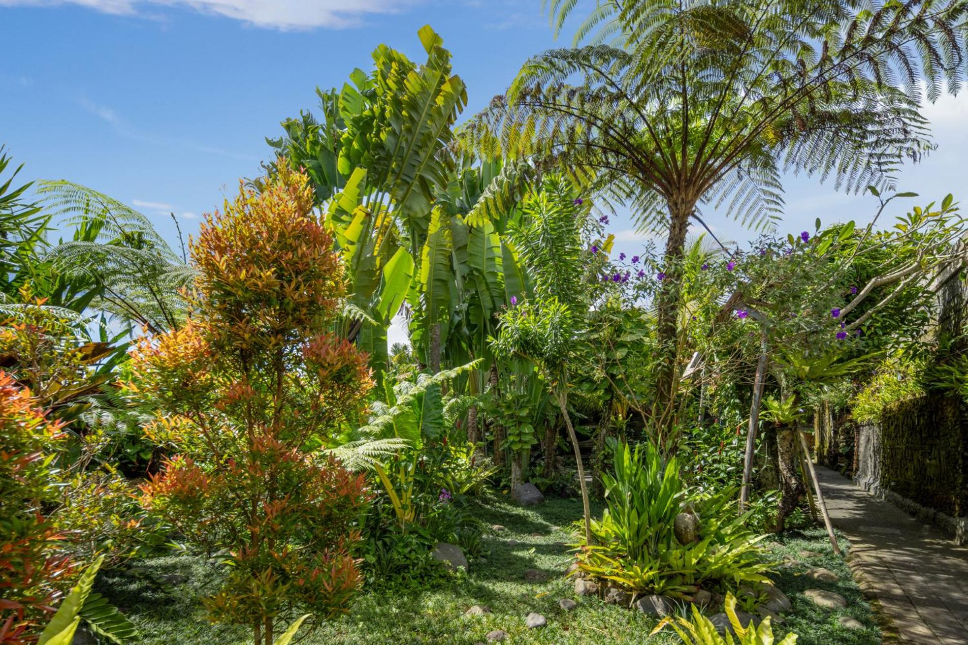 Heart of Bali Villa