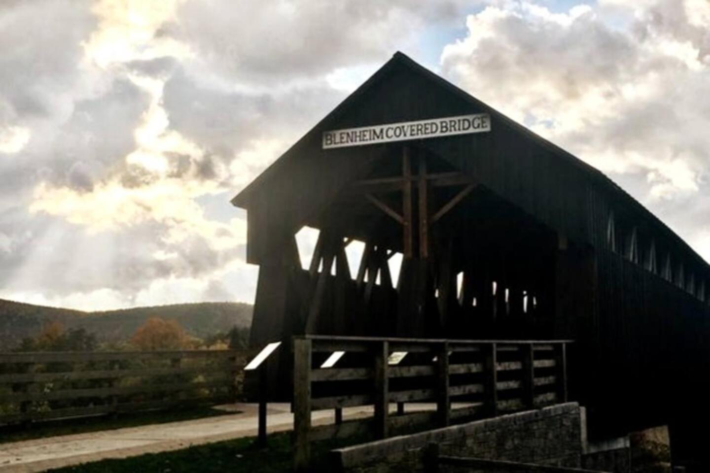 Mountain-Top-Hideaway Stay in a log cabin on a private rd! Swim, hike, explore a true mountain experience
