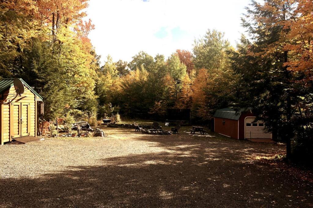 Mountain-Top-Hideaway Stay in a log cabin on a private rd! Swim, hike, explore a true mountain experience