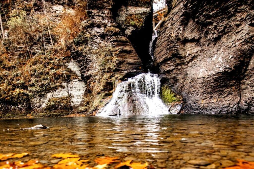 Mountain-Top-Hideaway Stay in a log cabin on a private rd! Swim, hike, explore a true mountain experience