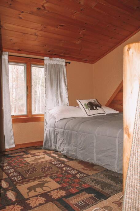 Mountain-Top-Hideaway Stay in a log cabin on a private rd! Swim, hike, explore a true mountain experience