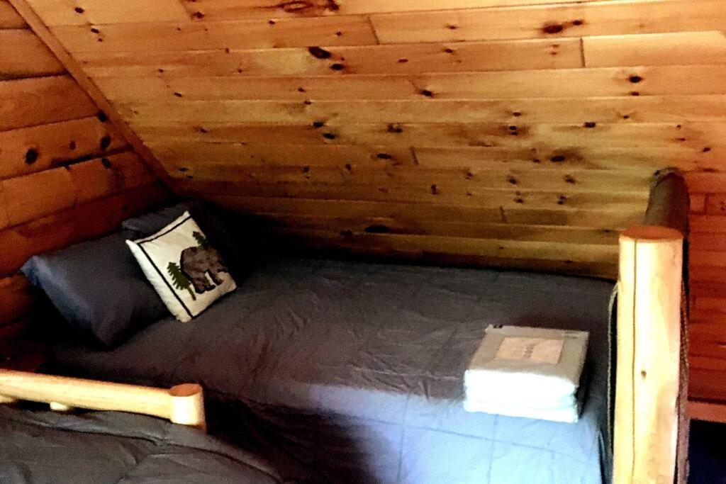 Mountain-Top-Hideaway Stay in a log cabin on a private rd! Swim, hike, explore a true mountain experience