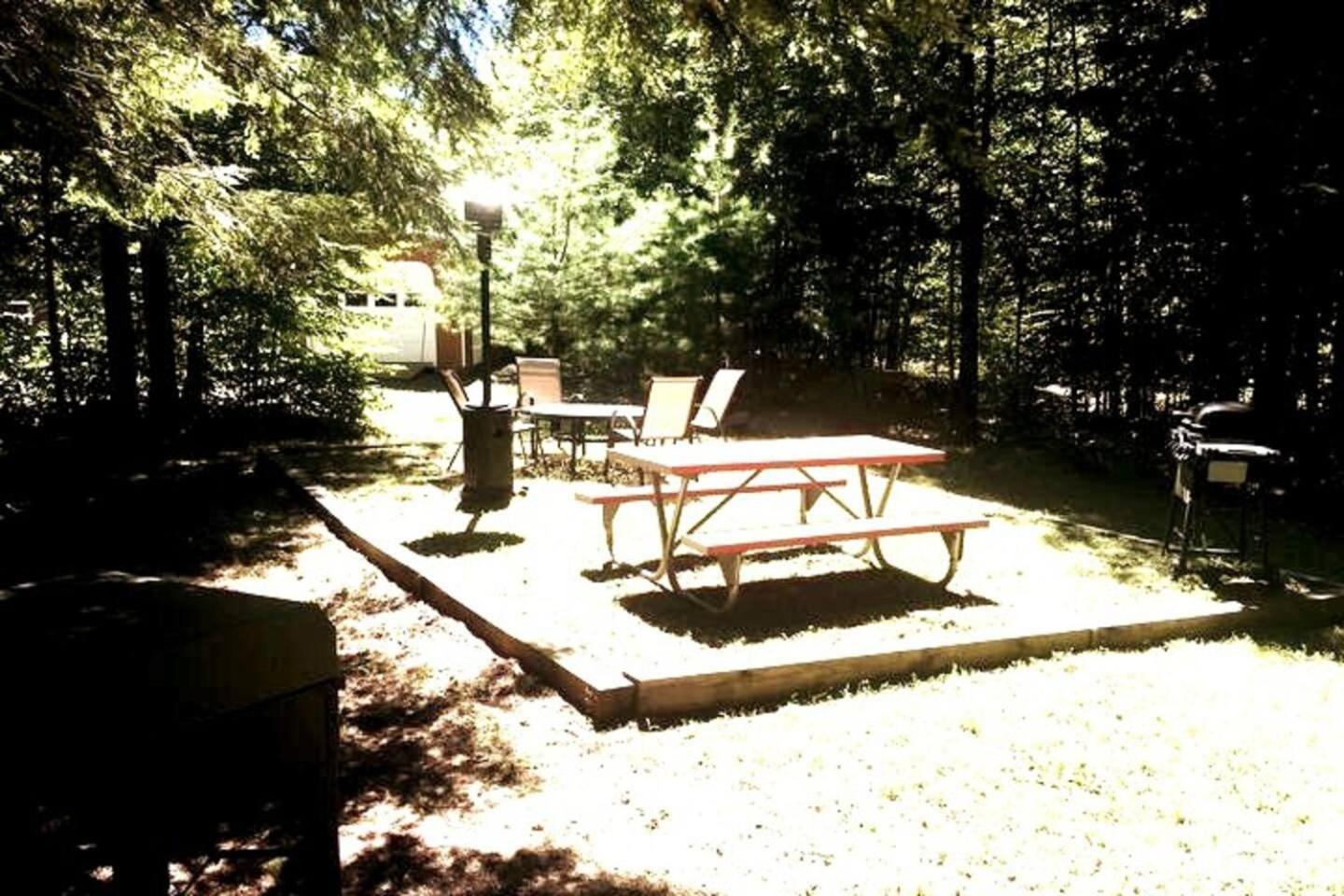 Mountain-Top-Hideaway Stay in a log cabin on a private rd! Swim, hike, explore a true mountain experience