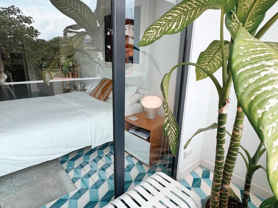 Maison Boheme - La Manzana Panama view 3