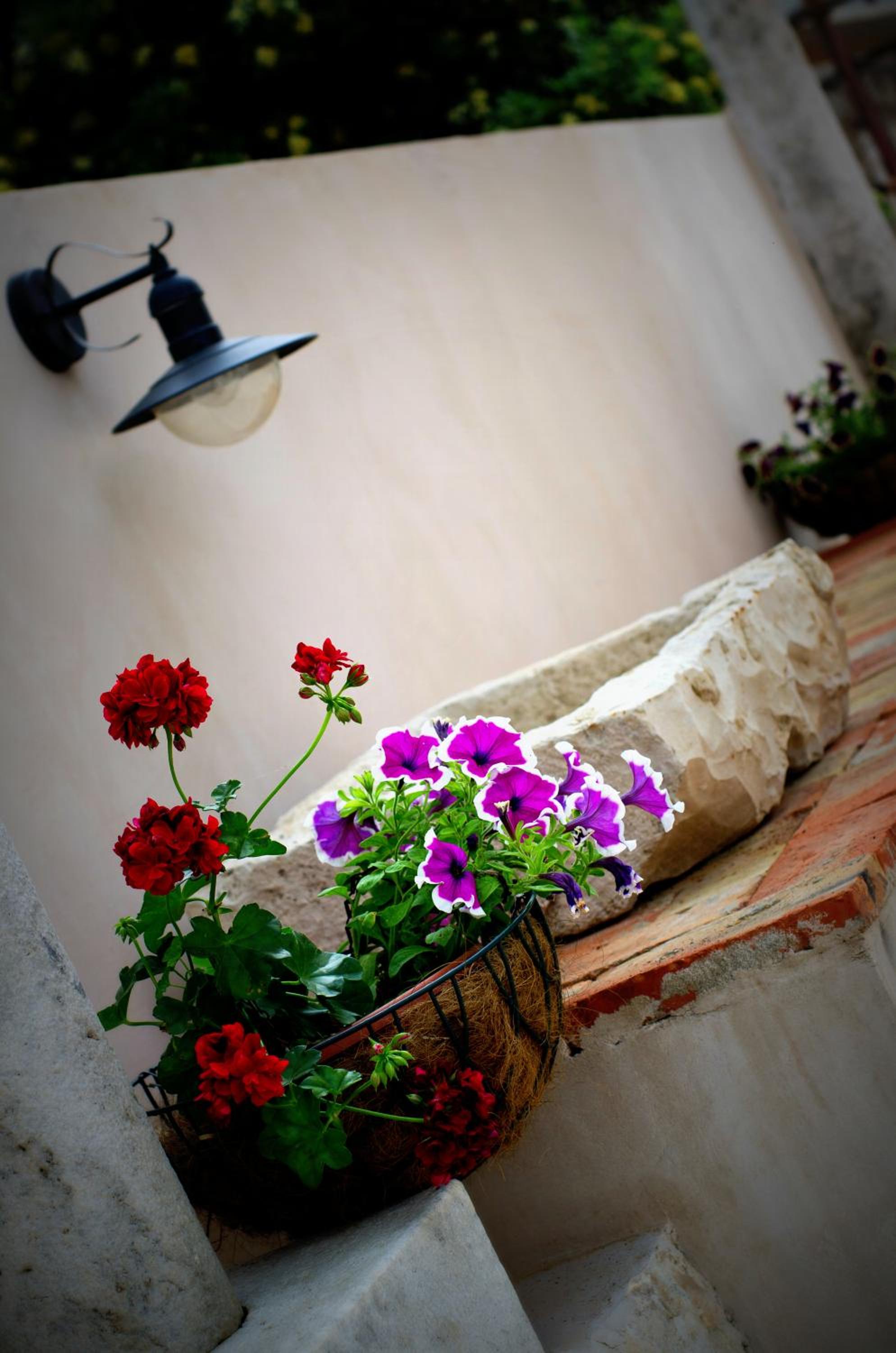 Villa Ragusa Vecchia