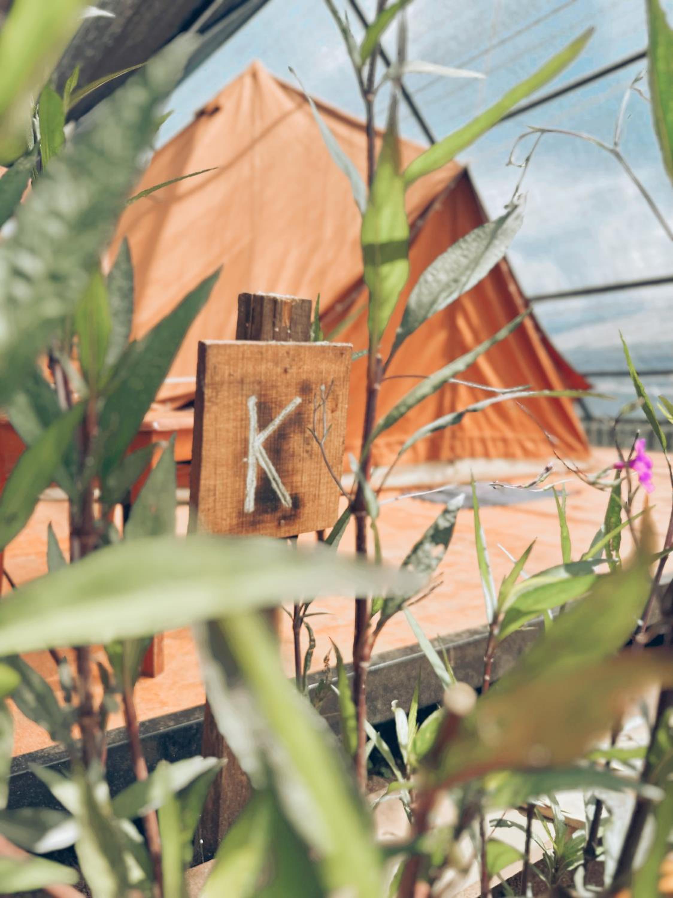 The Backyard Glamping Cameron Highlands